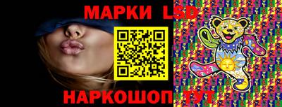 гидропоника Будённовск
