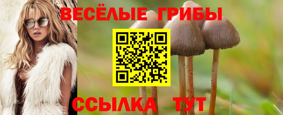 Галлюциногенные грибы Cubensis Надым